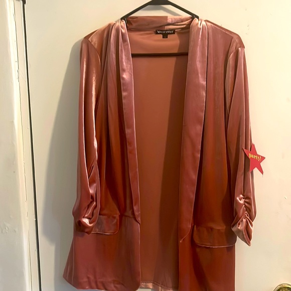Velvet pink blazer - Picture 1 of 2